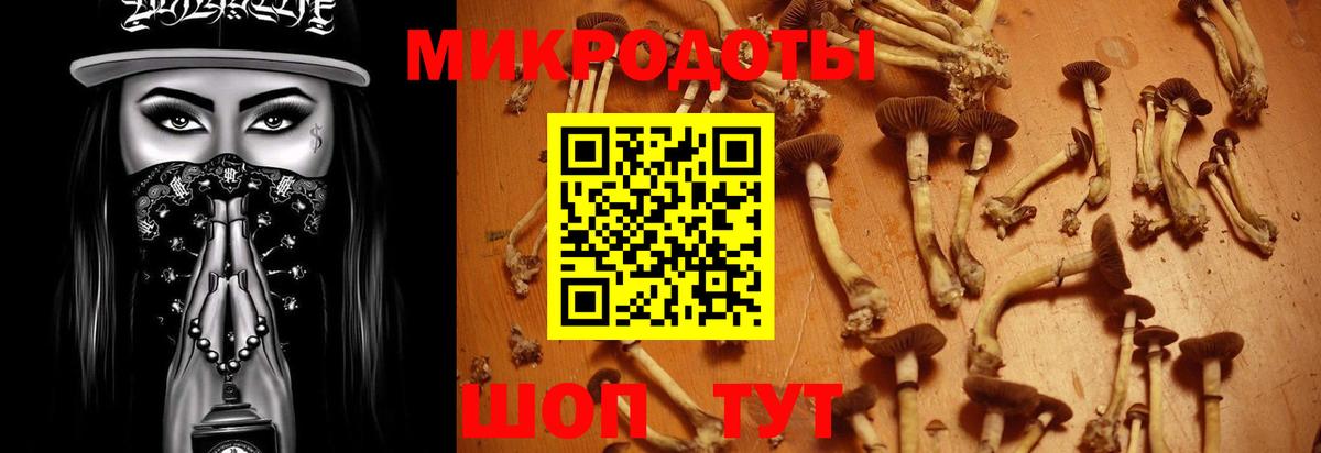 Псилоцибиновые грибы Magic Shrooms  Вход с VPN  Сибай 
